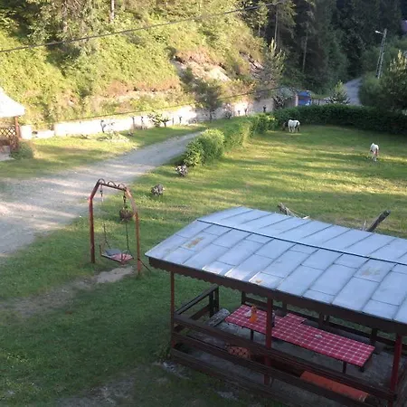 Sofy * Arieşeni